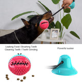Pet Dog toys Interactive Cat Dog Chew Toy Rubber Balls with Suction Cup for Small Large Dog Tooth Cleaning Balls toys
