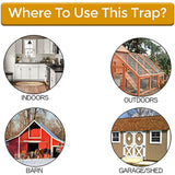 Reusable Smart Mouse Rat Trap Plastic Flip N Slide Bucket Lid Mouse Rat Mouse Trap Humane Or Lethal Trap Door Style Multi Catch