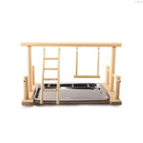 Parrot Standing Training Frame Bird Playground with Food Tray Pet Supplies PXPC