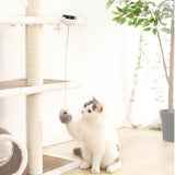 Lifting Cat Ball Toy Electric Interactive Puzzle Automatic Smart Pet Cat Ball Teaser Toys Pet Electric Supply Lifting Cats Balls
