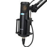 Alctron X50BMKII condenser recording mic with shockmount for professional studio recording and personal music making