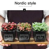 3pcs Windowsill Home Decor Balcony With Bamboo Tray Translucent Black Stickers Ropes Office Flower Pot Set Living Room Succulent