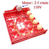 Quail Incubator 16 Eggs Or 64 Birds Eggs Automaticturn Eggs Tray Hand Incubator Accessories Laboratory Incubators