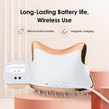 Auto Meridian Instrument EMS Microcurrent Meridian Stimulation Lymphatic Detoxification 3Color Light Therapy Body Face Massager