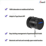 TUYA bedroom fingerprint lock interior door room door wooden door spherical smart door lock home office apartment