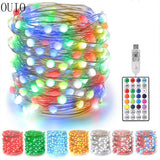 20M 5V USB With Remote  RGB Lights Festoon Courtyard Decor Wedding Garden Christmas Fixture Backyard Leds  Decoration For Home