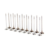 Engine Intake&amp;Exhaust Valves Fit For V-W Beetle Golf Jet-ta Au-di A3 1.2T 04E109601A 04E109611K  04E 109 601 F
