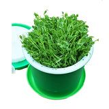 Household Bean Sprouts Making Pot Bean Sprouts Cans Sprouts Planting Barrels High Quality Bean Sprouts Breeding Pot