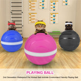 New 2nd Generation Waterproof Pet Magic Roller Wicked Ball Auto Sleep Anti-bite USB Electric LED Rolling Flash Ball Cat Dog Toy