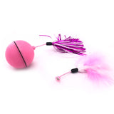 NEW2022 NEW2022 Pet product dog cat Laser toy LED flash rolling ball automatic scrolling electric toy funny cat ball usb