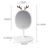 Lingantler Led Makeup Mirror with Light Fill Light Dormitory Dressing and Portable Accessories Storage