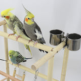 Wooden Parrots Playstand Bird Playground With Ladder Toys Pet Wood Perch Platform and Feeder Cups Bird Life Activity Center