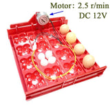 Quail Incubator 16 Eggs Or 64 Birds Eggs Automaticturn Eggs Tray Hand Incubator Accessories Laboratory Incubators