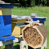 Wooden Beekeeping Box Queen Bee Nest Box Creative Bee Nest