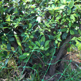 Mesh Anti Bird Crops Protection Vegetables Durable For Climbing Plants Farm Green Trellis Netting Multipurpose Yard Grow Fence