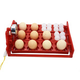 12 Eggs/48 Birds Eggs Incubator Turn Eggs Tray 220V/110V Chicken Bird Automatic Incubator Poultry Incubator Equipment 1set