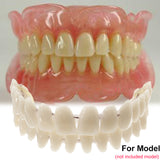10Set/Box 28pcs/set Resin Teeth Denture Upper Lower Shade A2 Manufactured Artificial Preformed Dentition Oral Care Material Tool