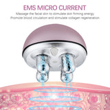 EMS Micro Current Facial Roller Massage Face Lifting Skin Firming Tighten Remove Edema Moisturize Fades Fine Lines Beauty Device