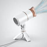 800W Professional Hair Dryer (With Powerful Ac Motor), Negative Ion Technology,2 Speed / Cold Settings US Plug