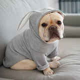French Bulldog Hoodies Coat Jacket Cute Rabbit Ears Shape Winter Warm Pet Clothes for Small Dogs Puppy Cat Clothing Costume