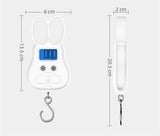 Portable 50Kg 10g Hanging Scale Digital Scale LCD Blue BackLight Electronic Fishing Weights Pocket Scale Luggage Scales