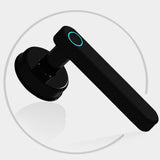 Bluetooth Lock TTLOCK Smart Home Door Lock Alexa Google home Biometric fingerprint lock Electric Handle Lock Wooden door
