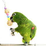 15Pcs/Set Pet Parrot Wooden Swing Chewing Toys Hanging Bell Stand Perch Training