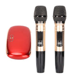 Handheld Wireless Microphone Kit USB Sound Card Coaxial Input Home Bluetooth Microphone for Mobile Phone TV Computer 100-240V