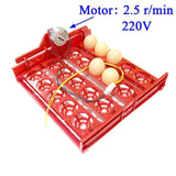 20 Egg Incubator Turn Eggs Tray Eggtester Automatically Turn The Eggs Experimental Teaching Equipment Voltage 220V / 110V / 12V