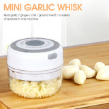 DIOZO Mini Garlic Whisk Multifunctional Food Mixer Electric Green/White/Pink Kitchen Aid Mixer Blender USB Rechargeable Portable