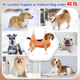 Pet Hammock Grooming Helper for Cats Dogs Hammocls Restraint Bag Puppy Dog Nail Clip Trimmer Pet Comb Nail File Trimming Tools