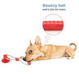 Pet Dog toy Interactive chew Tooth Cleaning TPR ball Multifunction Molar Bite funny Playing Ball for small big dog toys supplies