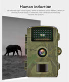 DL001 Hunting Camera Infrared Night Vision Trail Camera Wireless IP66 1080P Wildlife Surveillance Tracking Camera Hunt Scouting