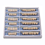 168 pieces/6sets /box Dental Synthetic Polymer Teeth Full Set Resin Denture Dental Teeth Color A2 A3 Size 23 Dentist Materials