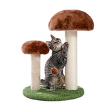 Local Domestic Delivery Cat Climbing Frame Cat Scratching Post Tree Scratcher Furniture Gym House Toy Cat Jumping Training Toy
