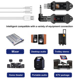 Wireless Transmitter Receiver USB Chargeable UHF Wireless Microphone System XLR Female To 6.5mm Male Adapter For Dynamic Mic