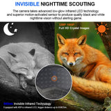 1080P Wildlife Camera Outdoor Trail Hunting Camera Night Vision Wildlife Scouting Cameras Photo Traps Track