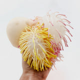 2Pcs April Fools's Day Creative Squeezing Hedgehog Prank Vent
