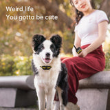 Upgrad 300m Dog training collar Remote Control Electric Shock Vibration Sound with Lock for small large dogs training Supplies