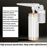 Multifunctional oxygen injecting instrument household beauty instrument household Pore Cleaner essence importing instrument