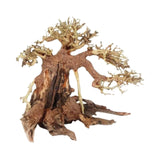 Driftwood Aquarium Decoration Driftwood Branches Aquarium Bonsai Moss Trunk Natural Wood Fish Tank Decoration Plant Stump Decor