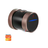 TUYA bedroom fingerprint lock interior door room door wooden door spherical smart door lock home office apartment