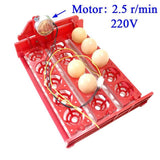 15 Eggs Mini Incubator Automatically Turn Eggs Tray 220V/110V/12V Laboratory Family Incubator Poultry Bird Incubator Equipment