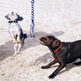 Pets Toys Interactive Dog Toys Extendable Flirt Pole Funny Chasing Tail Teaser And Exerciser For Pets Dogs Interactive Toys