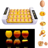24 Egg Incubator Automatic Egg Incubators Hatching for Chicken Birds Quail Constant Temperature Control Farm LED Light