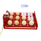 12 Eggs/48 Birds Eggs Incubator Turn Eggs Tray 220V/110V Chicken Bird Automatic Incubator Poultry Incubator Equipment 1set