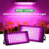 Full Spectrum LED Grow Lights AC220V Seedling Planting Lamps With On/Off Switch For Greenhouse Hydroponic Plant Growth Lighting