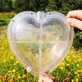 Watermelon Growing Mold Home Nursery Pot Heart Square Garden Supplies Transparent Reusable For Fruit Plastic Forming Shaping