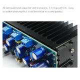 1969 Npn 2.0 Channel Class a Amplifier Completed Board and Heatsinks