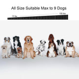 Rechargeable Dog training collar electric shock vibration sound 3 modes IP67 for small to large dog training supplies